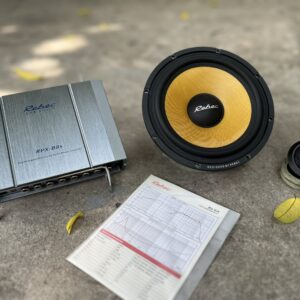 Rebec RL6A 21 scaled 1